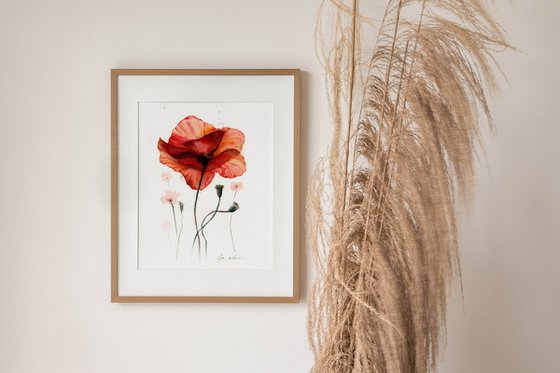 Watercolor abstract poppy