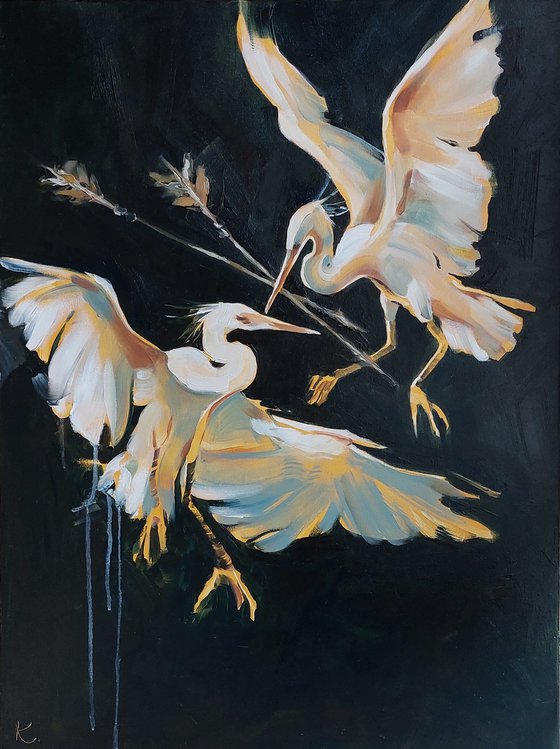 Two Cattle egrets