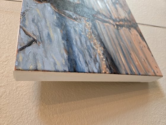 Coquina Reflections