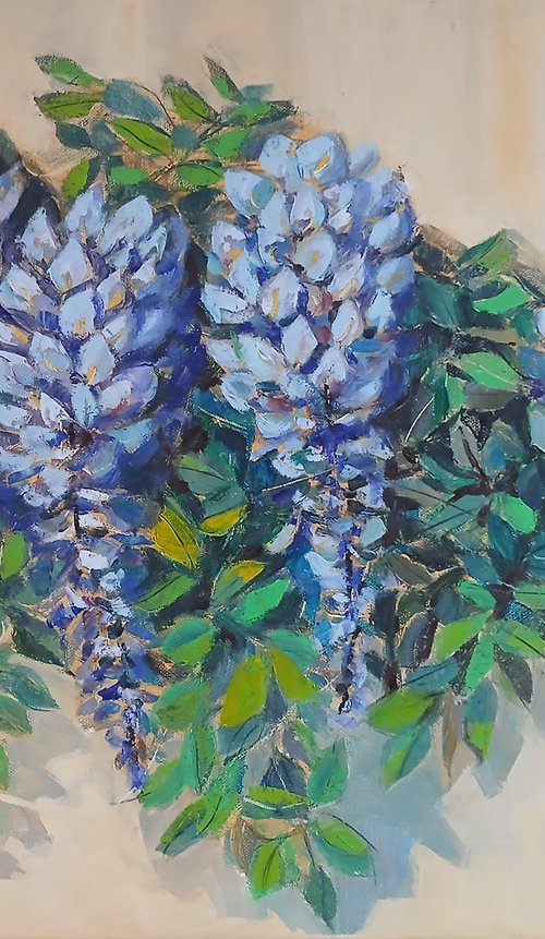 Wisteria by Galya Koleva