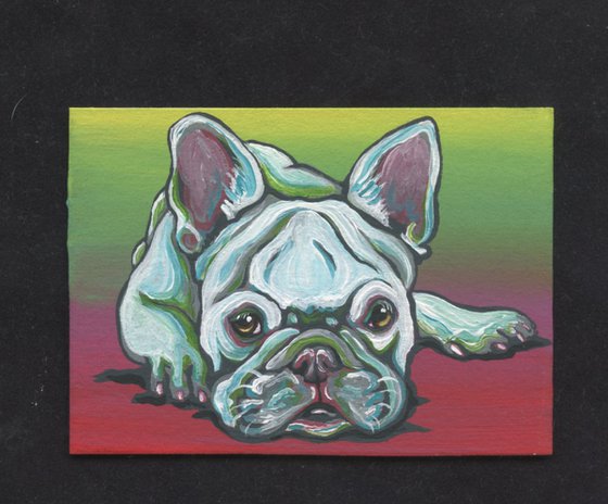 ACEO ATC Original Miniature Painting White French Bulldog Pet Dog Art-Carla Smale