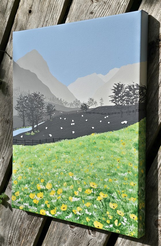 Patterdale Meadow
