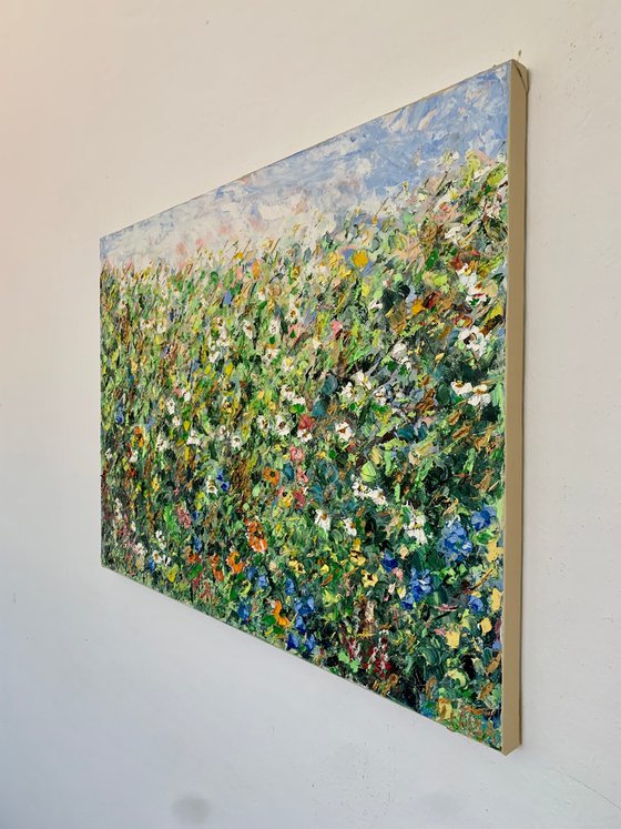 Summer meadow