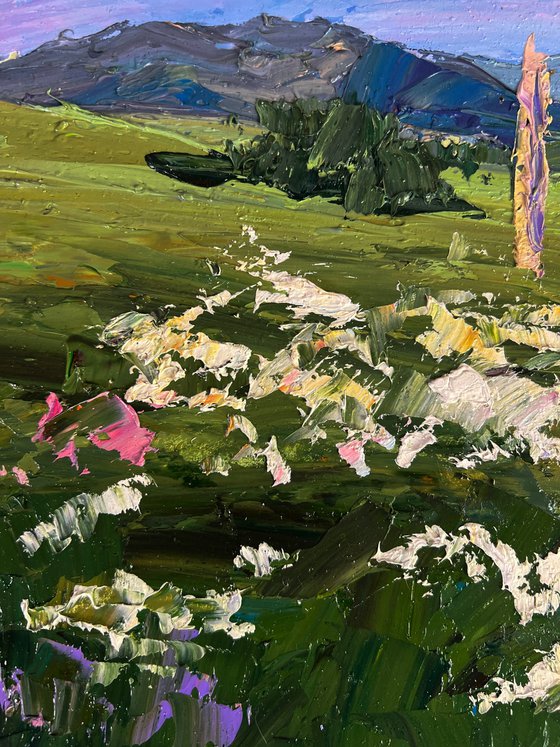 Flowering Mountain Fields