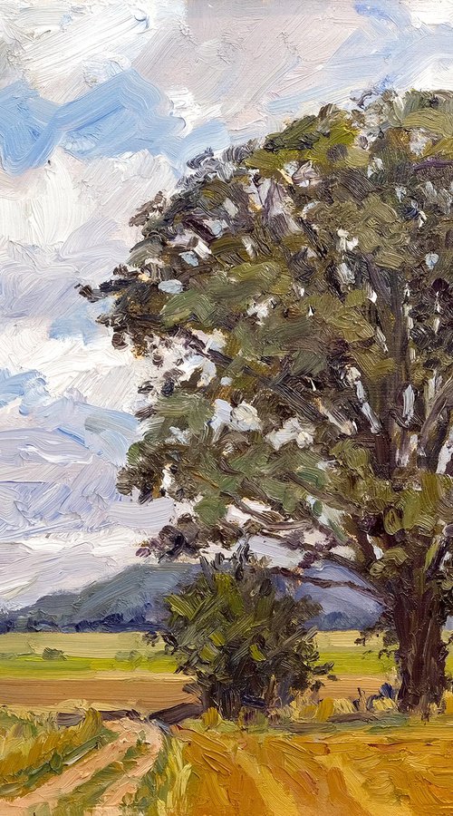 Harvested Fields, Bulmer by Jeff Parker
