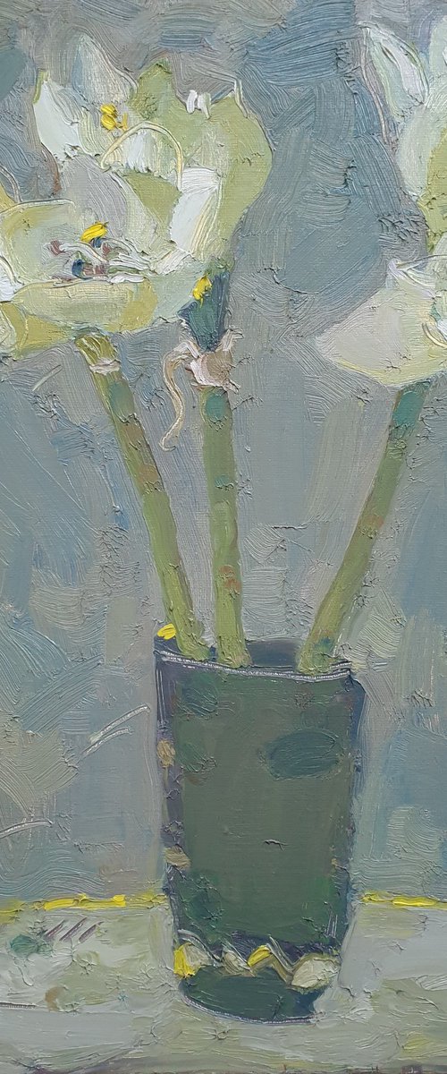 Amaryllis by Vladislava Vorobyeva