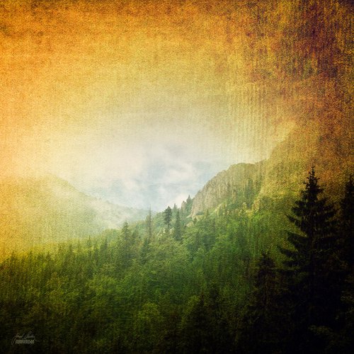 Mountain memories by Janek Sedlar
