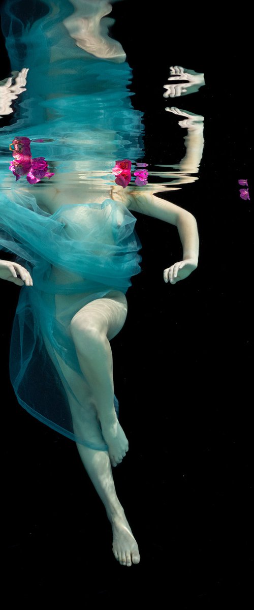 Dancing Flowers - underwater photograph - print on aluminum by Alex Sher