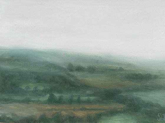 Foggy fields