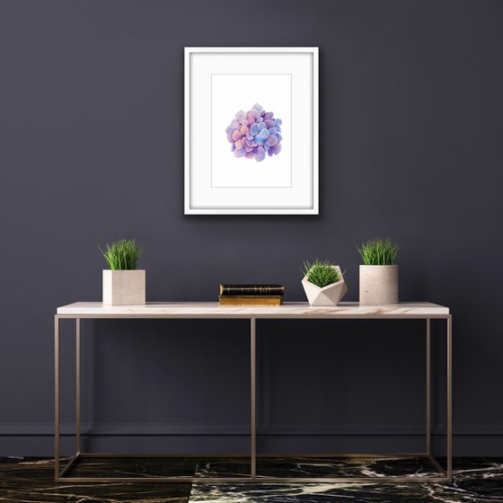 Hydrangea. Original watercolor artwork.