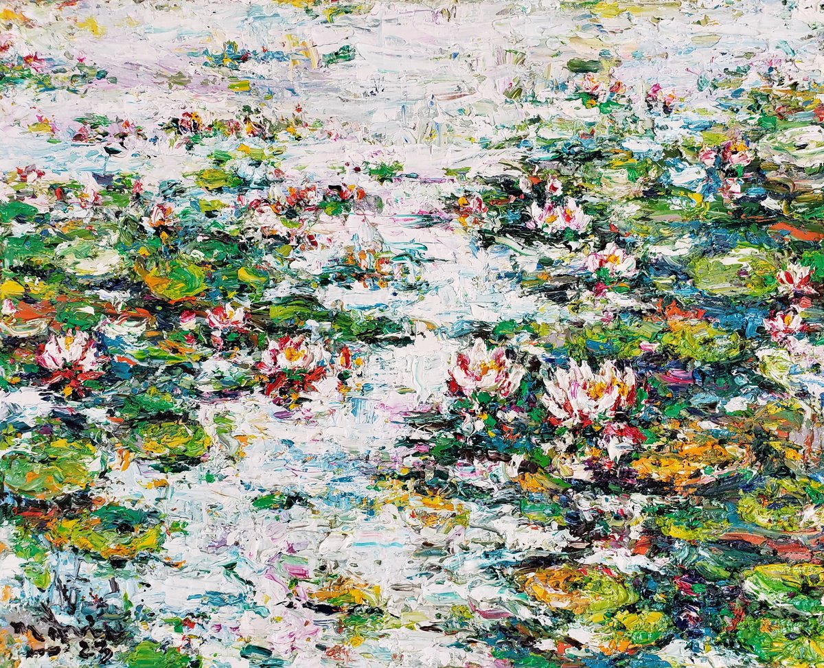 Water lilies bloom season by Duc Tran
