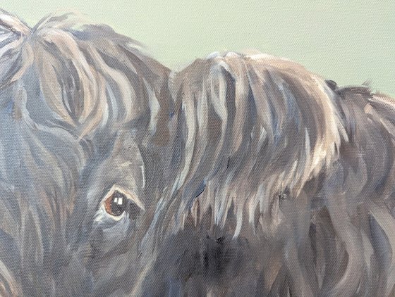 Lonesome Cow