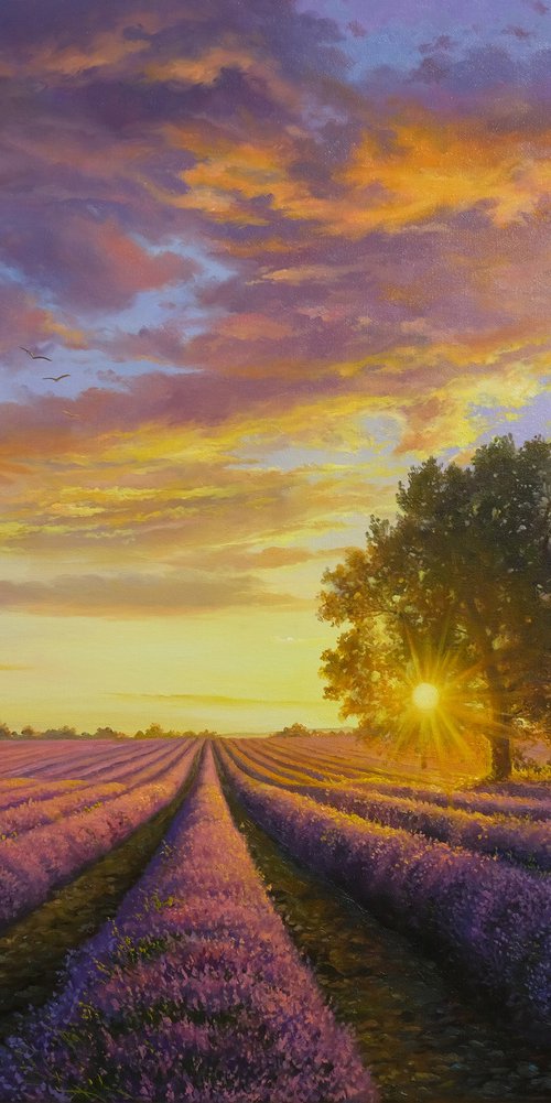 Lavender evening by Eduard Zhaldak
