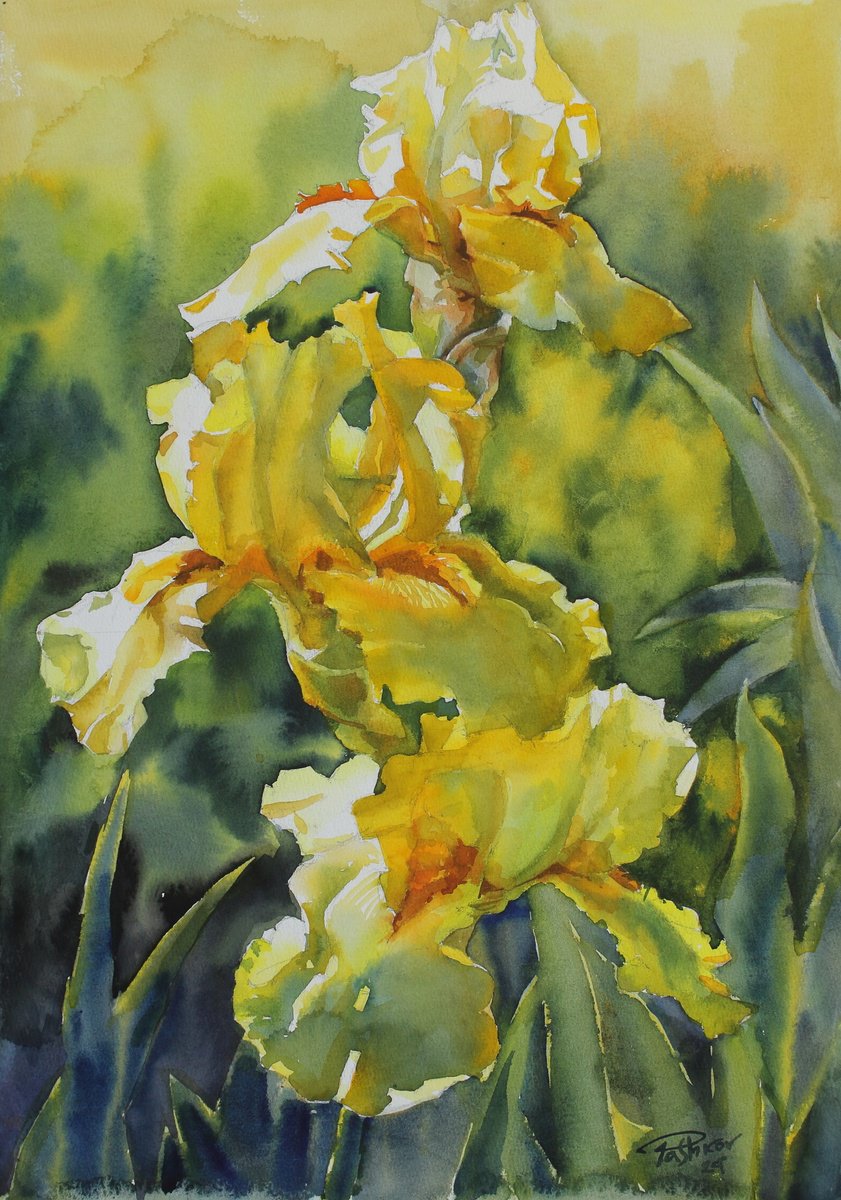 Impressionistic Botanical Watercolour By Yurii Pashkov, 15 X 21", Yellow Irises#4, Original Artwork