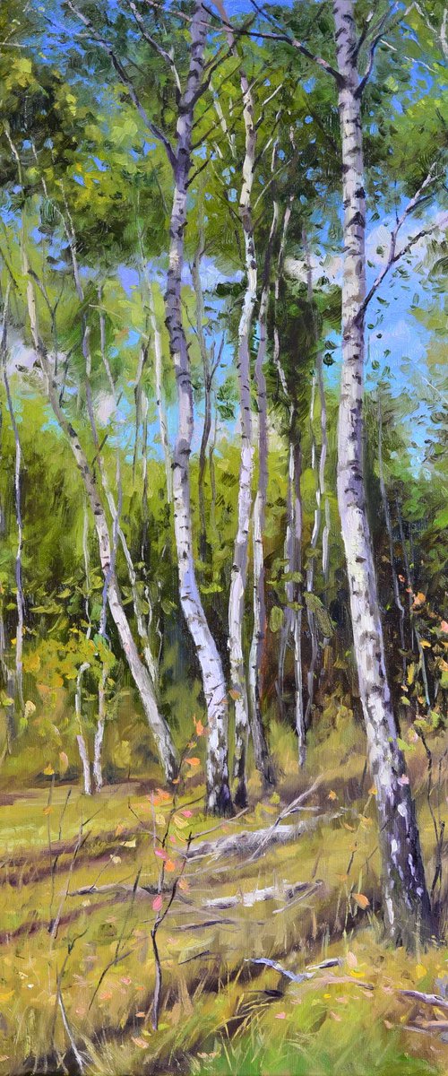 Birch grove by Ruslan Kiprych