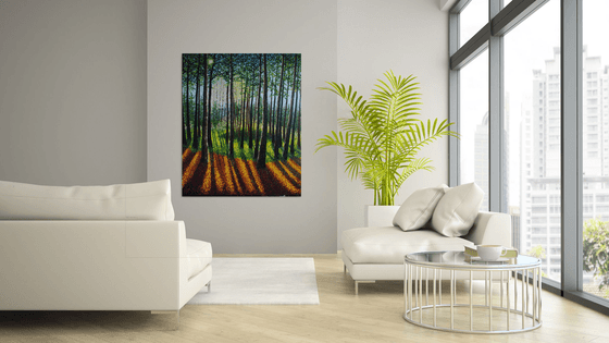Autumn Forest Light