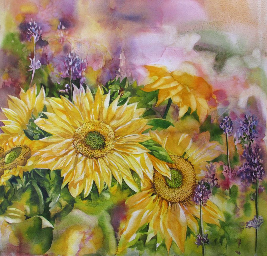 Sunflowers with lavender Watercolour by Alfred Ng Artfinder