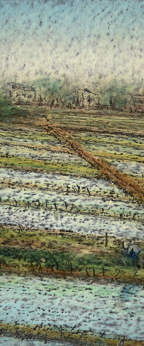 Tending the Crops, Luodong by David Lloyd