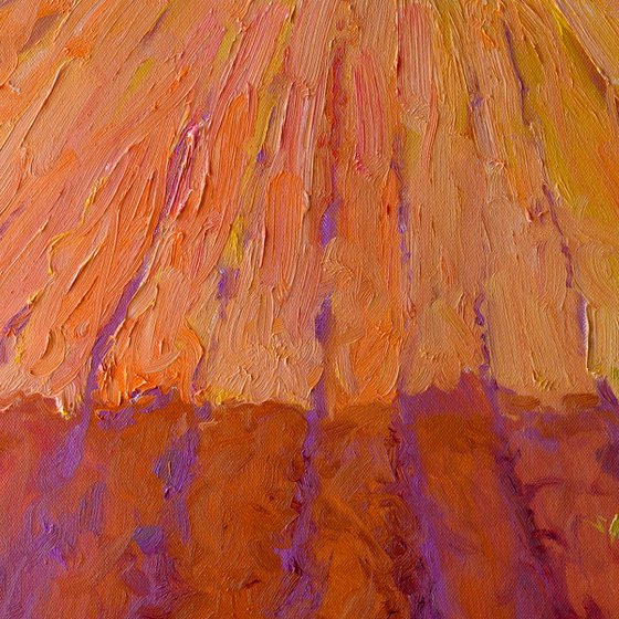 Midwest. Farmland in Evening