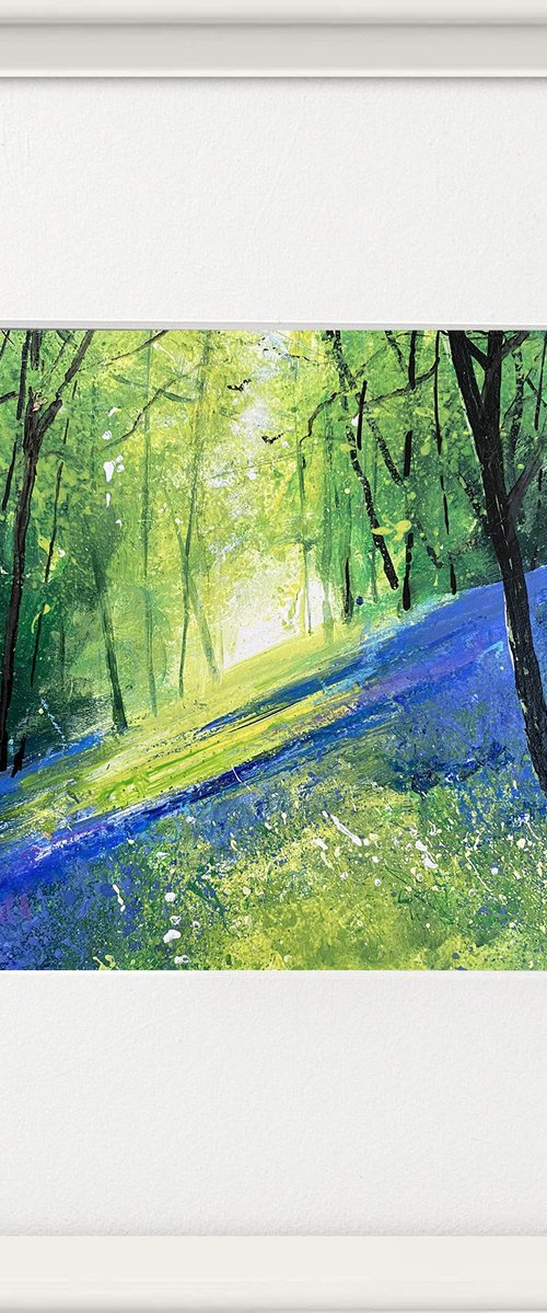 Seasons - Light Across Bluebell Bank framed by Teresa Tanner