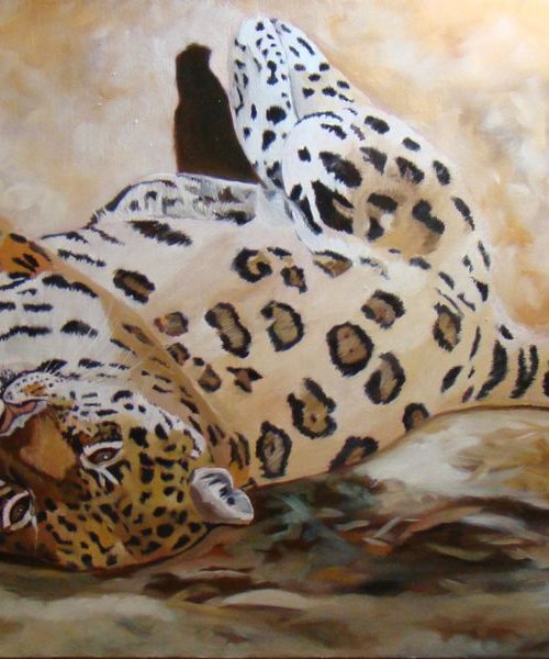 Half sleep, portrait of a jaguar by Anne Zamo by Anne Zamo
