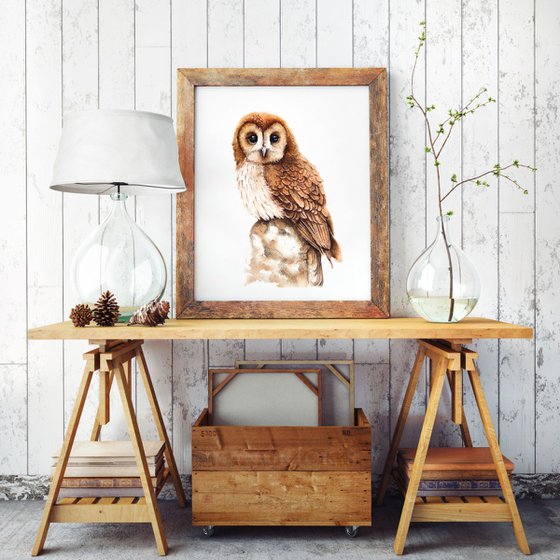 OWL,  bird, birds, animals, wildlife watercolour painting