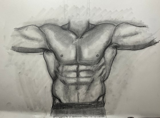 Male torso study 18x24