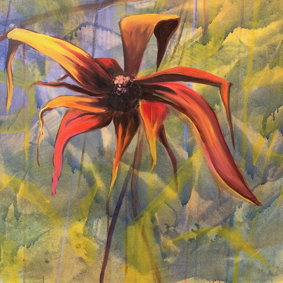 Late bloomer