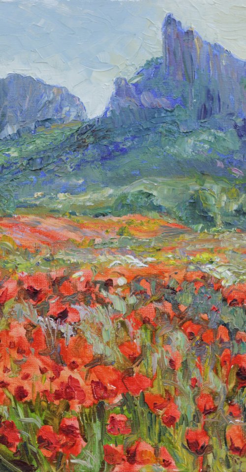 Vivid bloom of poppies by Elina Vetrova