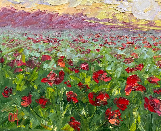 Poppy field at sunset