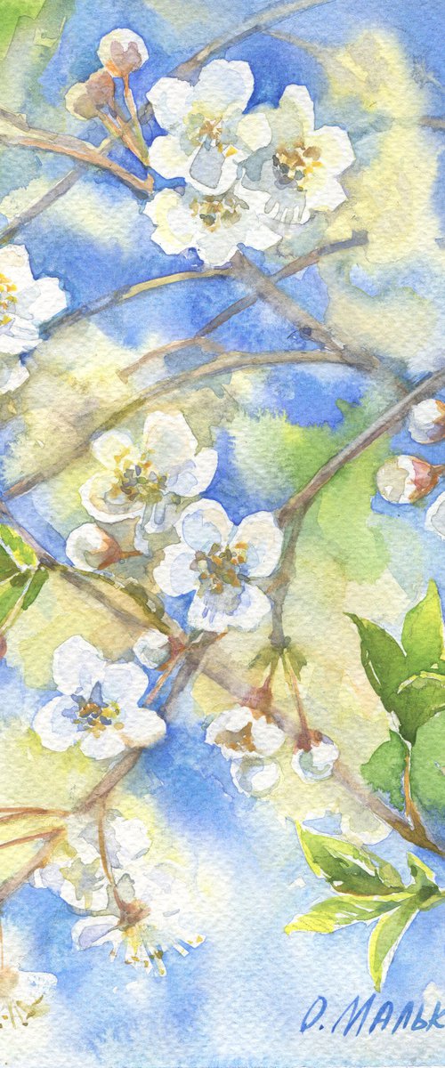 Blue sky through cherry blossom / Flowering branches. Spring watercolor by Olha Malko