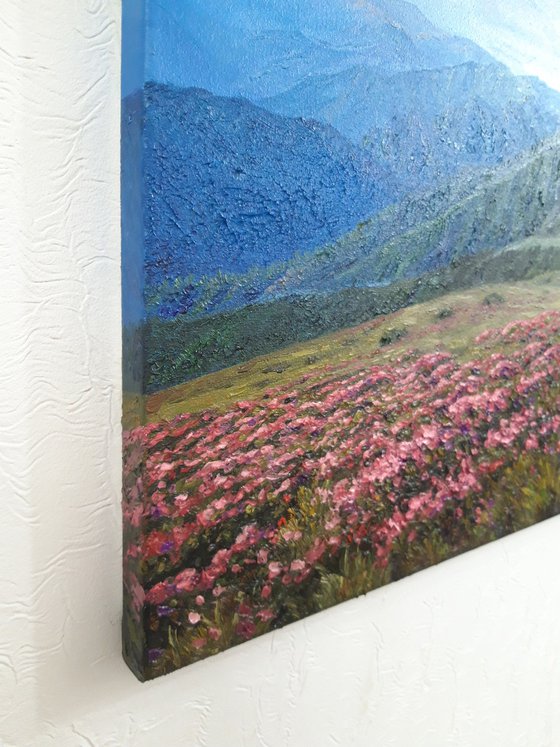 Spring in the mountains