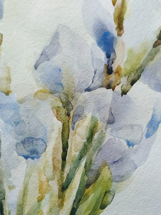 Irises. Original watercolour painting.