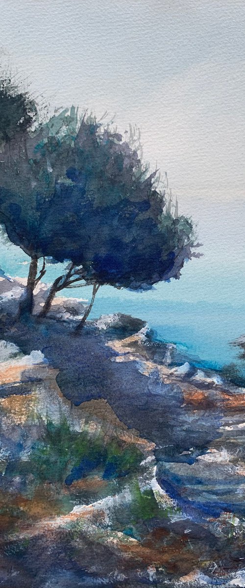 Olive trees by the sea by Tihomir Cirkvencic