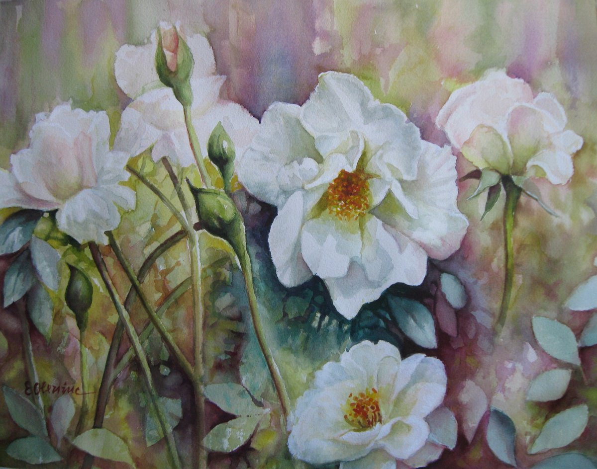 Impressionistic Botanical Watercolour By Elena Oleniuc, 19 X 15, Wild Roses, Original Artwork