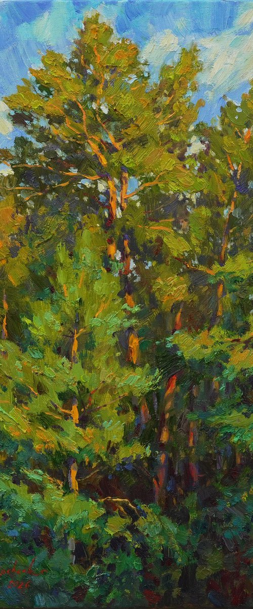 Pine forest by Alisa Onipchenko-Cherniakovska