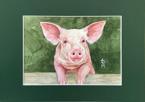 Piggy by Jolanta Czarnecka