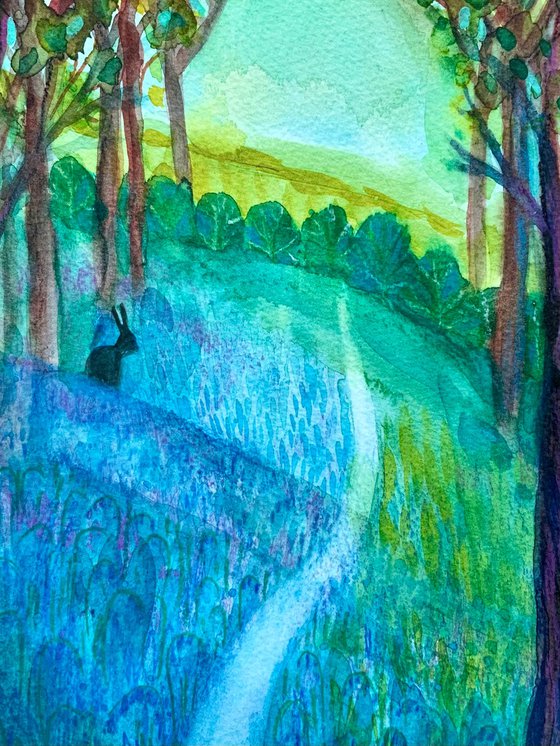 Bluebell Woodland