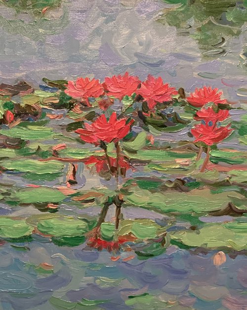 WATER LILY POND - Landscape with rose waterlily - oil painting - small size by Karakhan