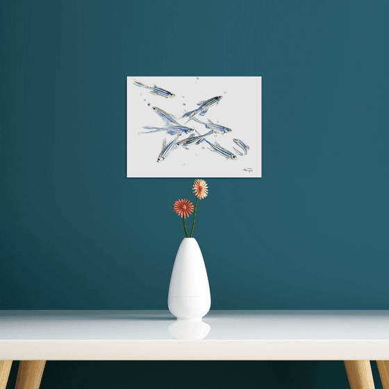 Danio, Zebrafish Aquarium art