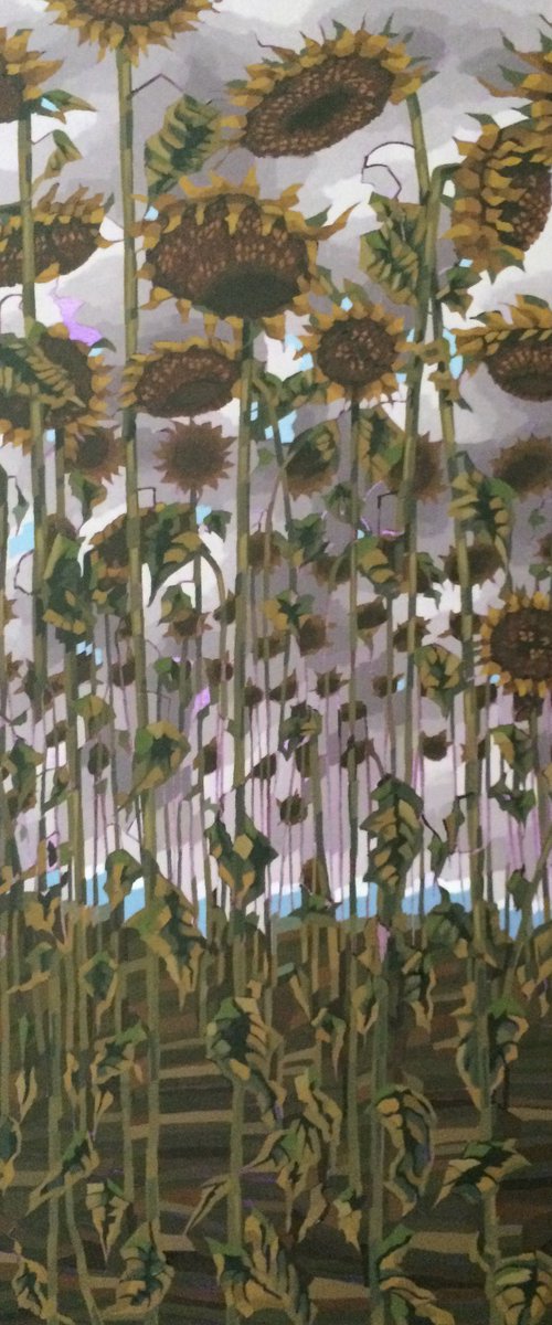 Last Sunflowers by Tarja Laine