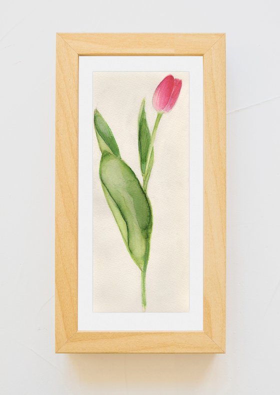 Tulip