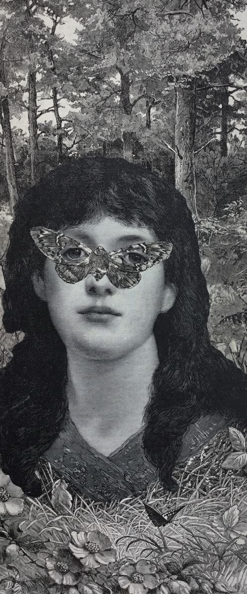 Woodland Butterfly by Tudor Evans