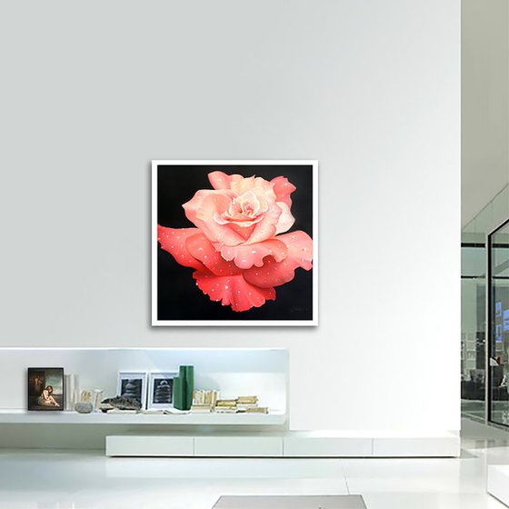 Le Rose