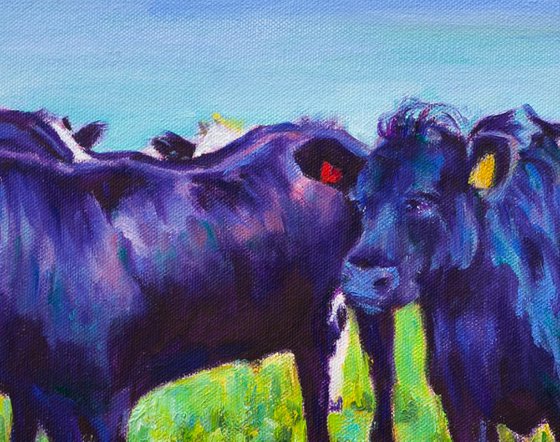 Black Angus Beauties