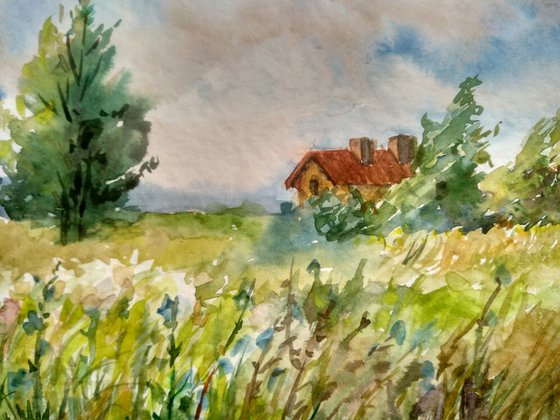 Meadow landscape