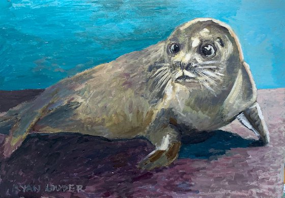 Seal