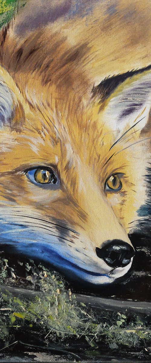 Yellow Fox by Valeriia Radziievska