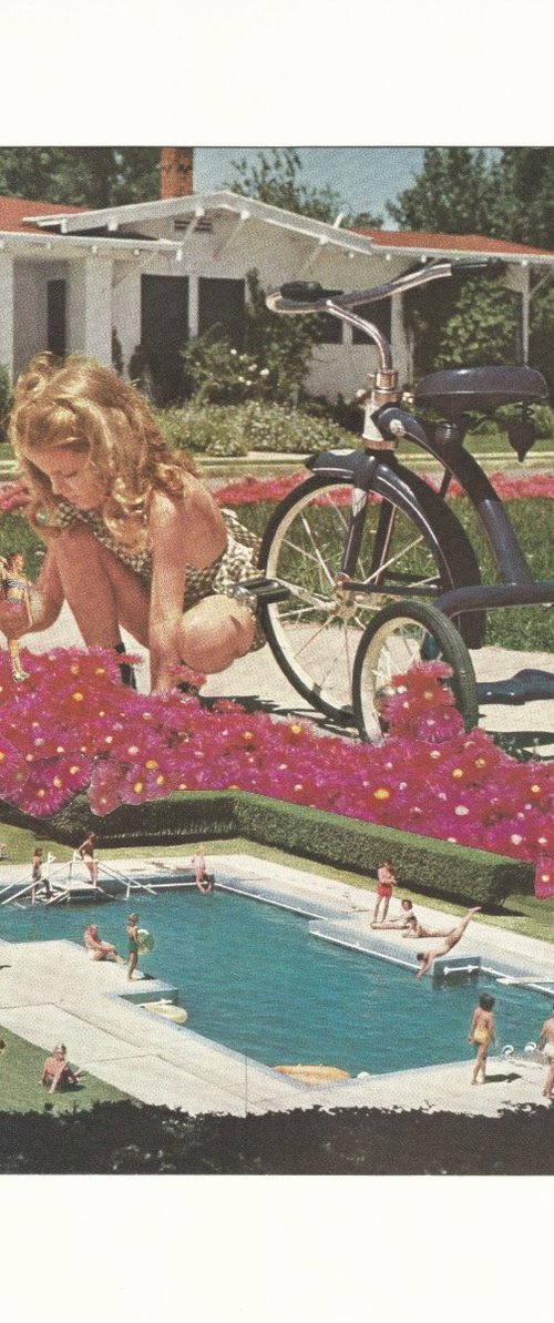 A Secret Garden by Paper Draper