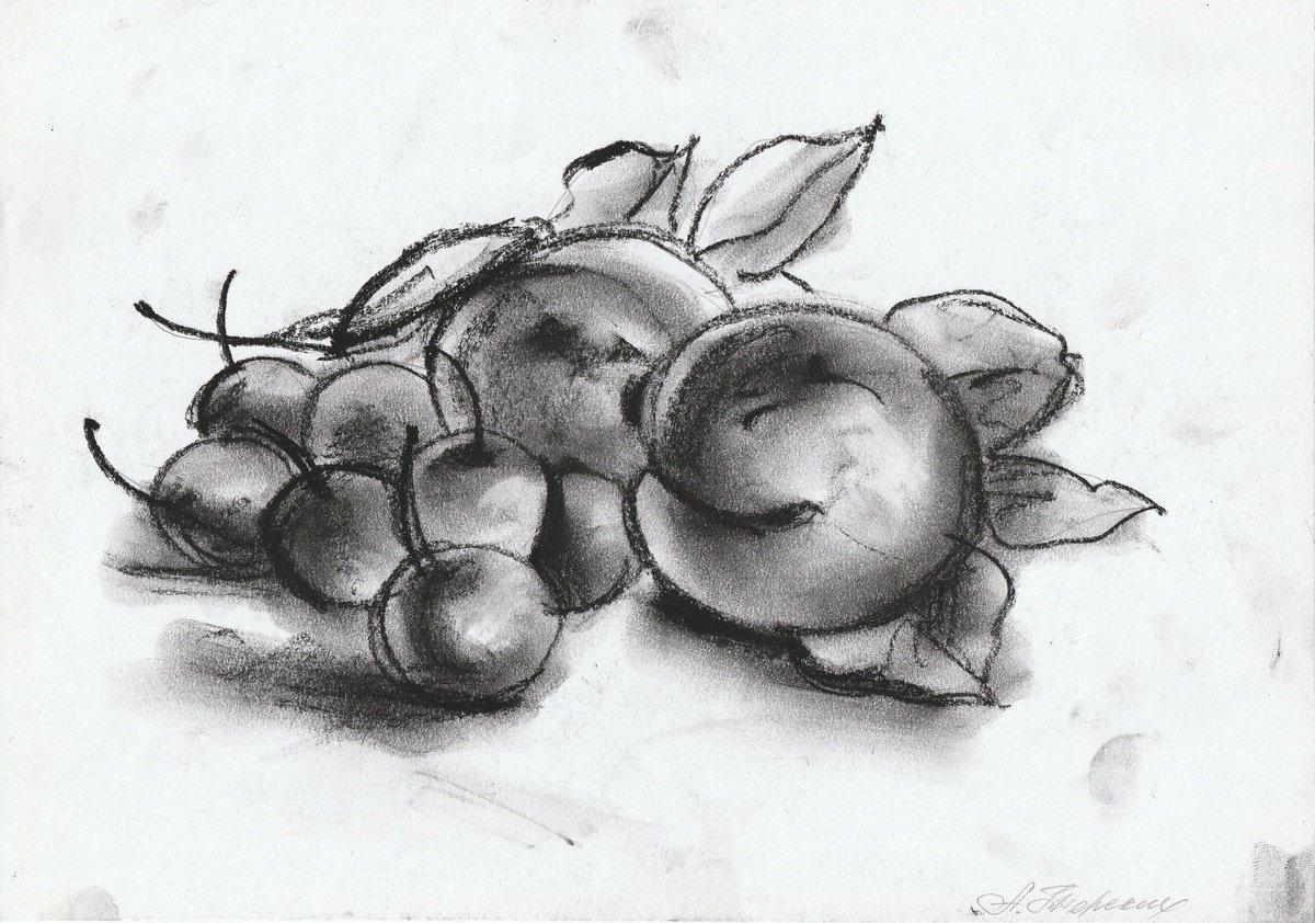 Still Life Charcoal Drawing By Anastasia Terskih, 12 X 8, Peach, Original Artwork